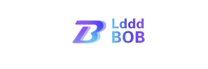 2004年,BOB转播公司宣告成立 2004年,BOB转播公司宣告成立